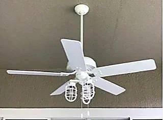Lighting & ceiling fans